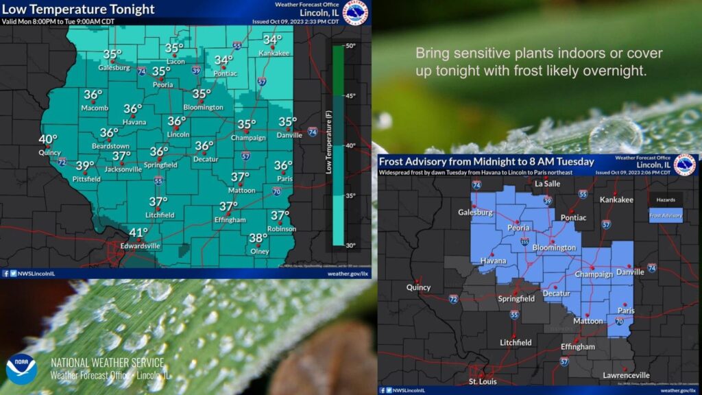 Frost Advisory in effect Tuesday 12AM-8AM - IPM Newsroom