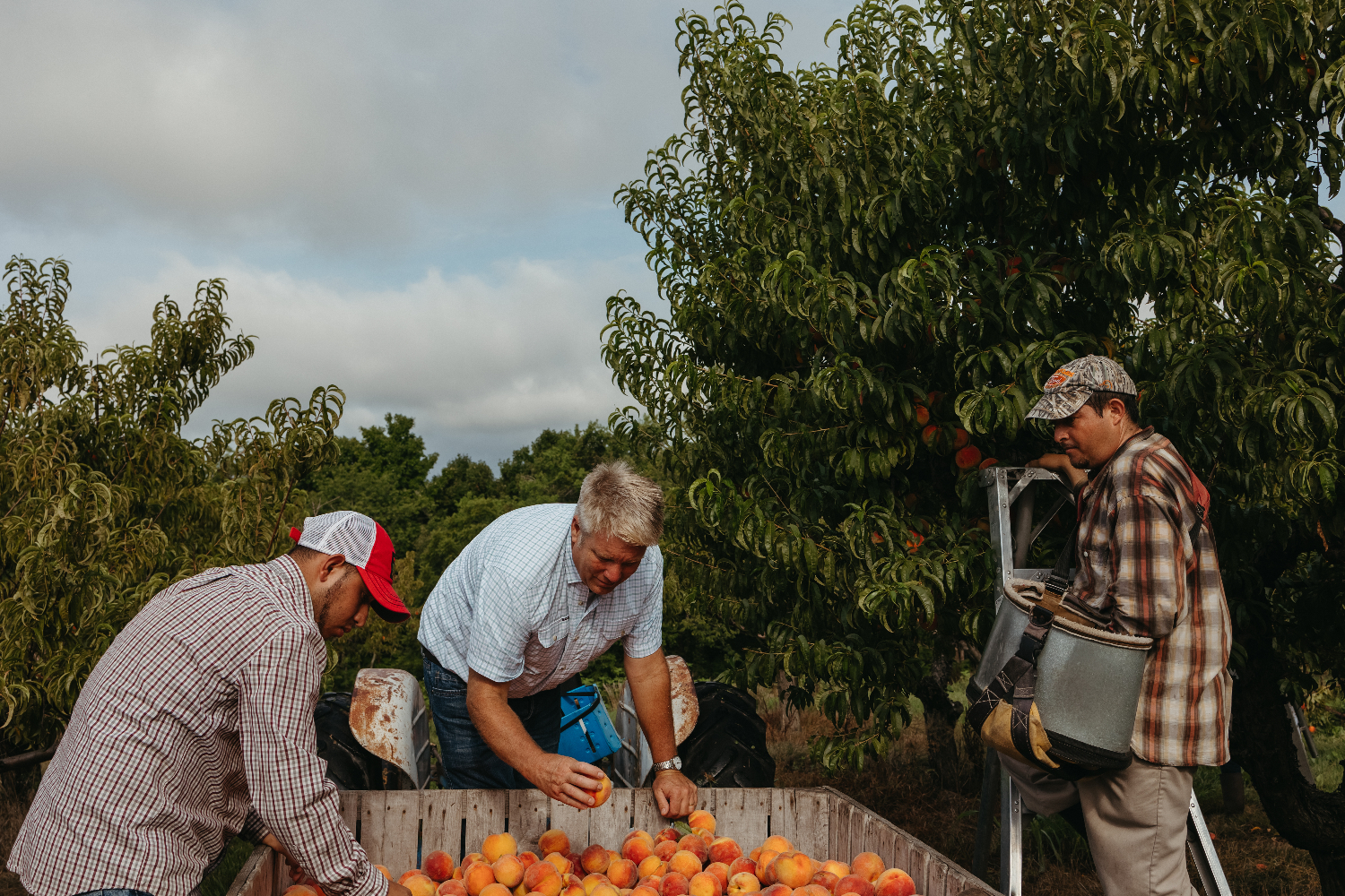 Spring At Rendleman Orchard A USDA program gives a second chance to food that stores wonβt sell ...