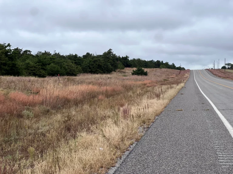 217 Today: Why do many states want to get rid of the eastern redcedar?