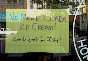 A picture of a piece of paper hanging in a store window reading, "No more cicada ice cream! Check back in 2024!"