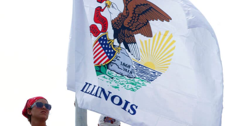 Illinois state flag