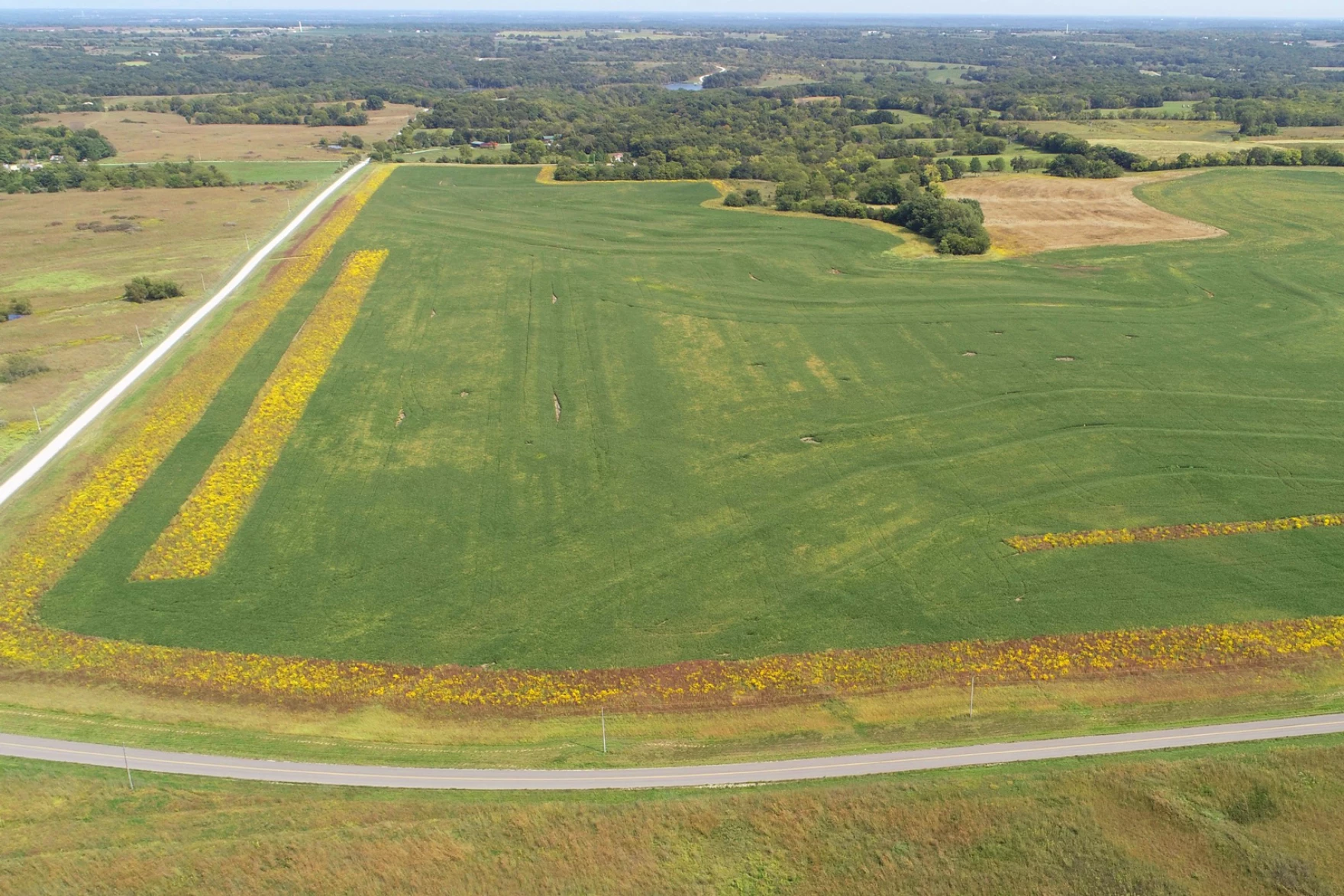 Prairie strips