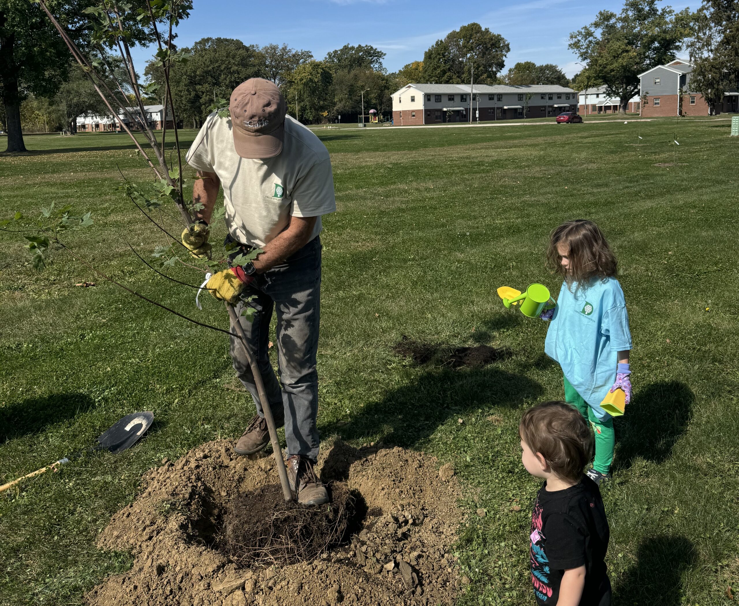 tree planting