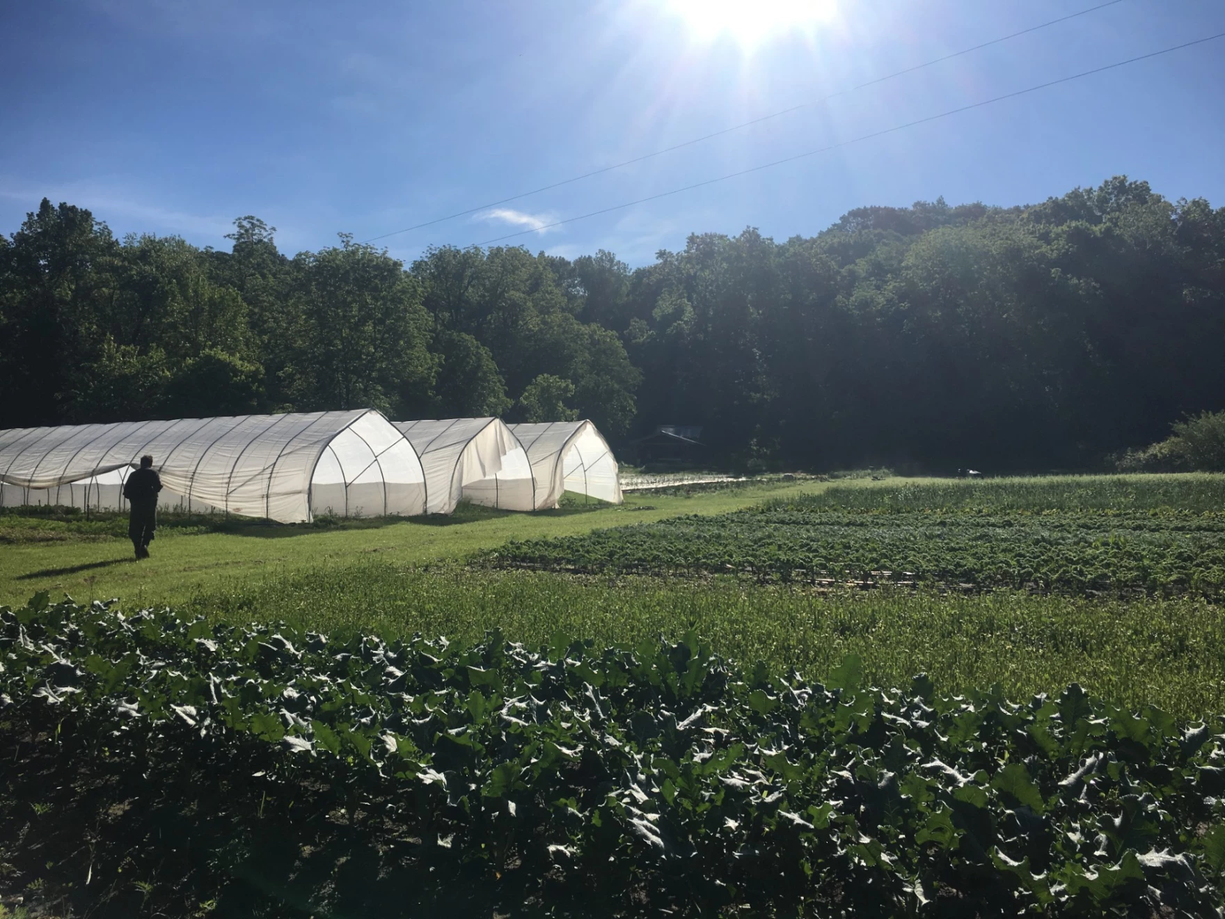 Missouri farm