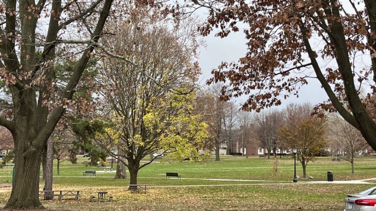 park during autumn