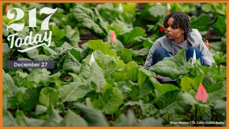 217 Today: Collard enthusiasts are using science and preservation to lift up rare varieties of the leafy green