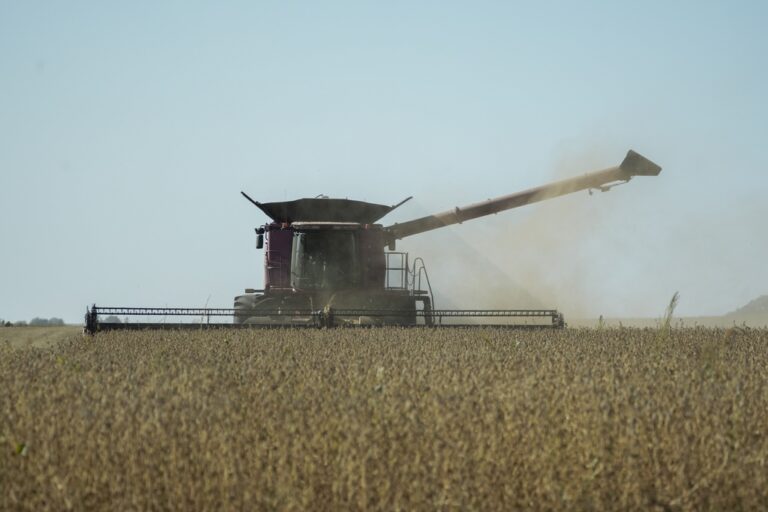 soybeans farm Illinois