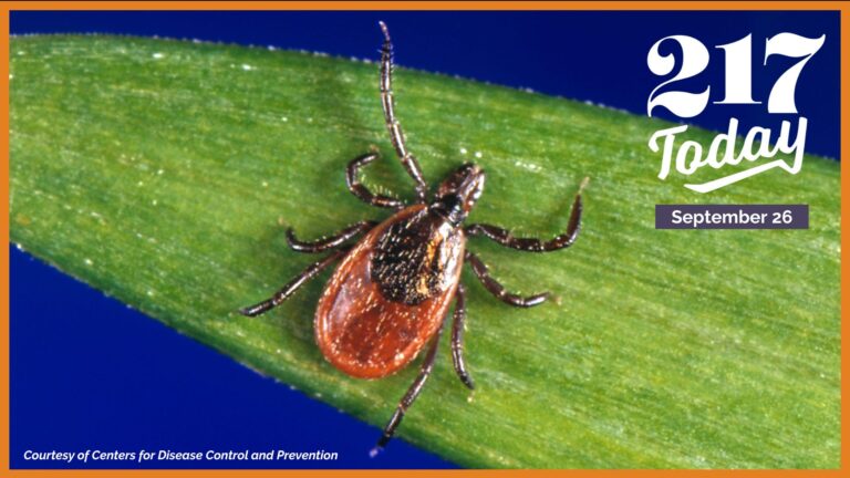 217 Today: Rise in tick-borne illnesses prompts Illinois TICK Act to increase surveillance