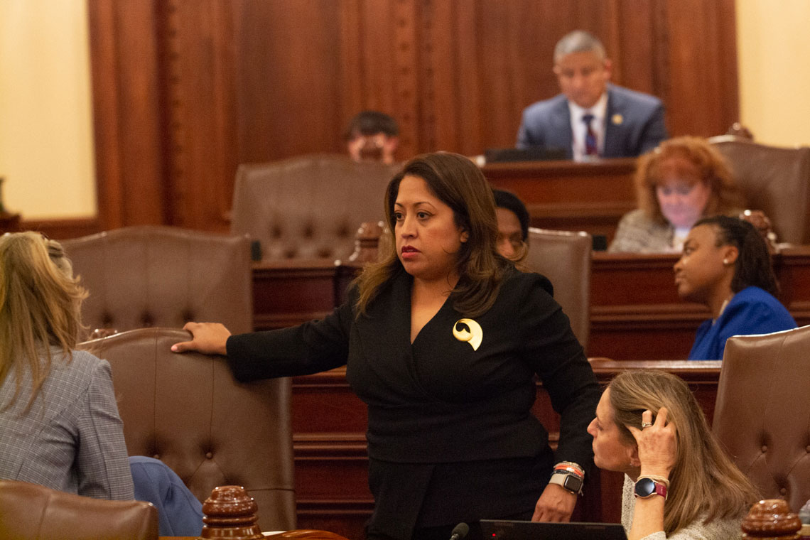 woman speaking in IL general assembly