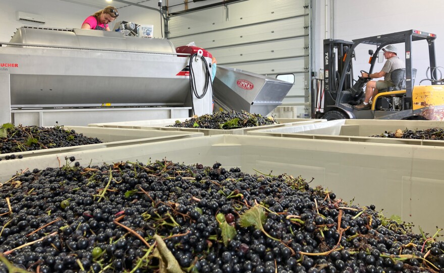 A woman stands above a grape press and behind trays collecting grapes and grape juice.