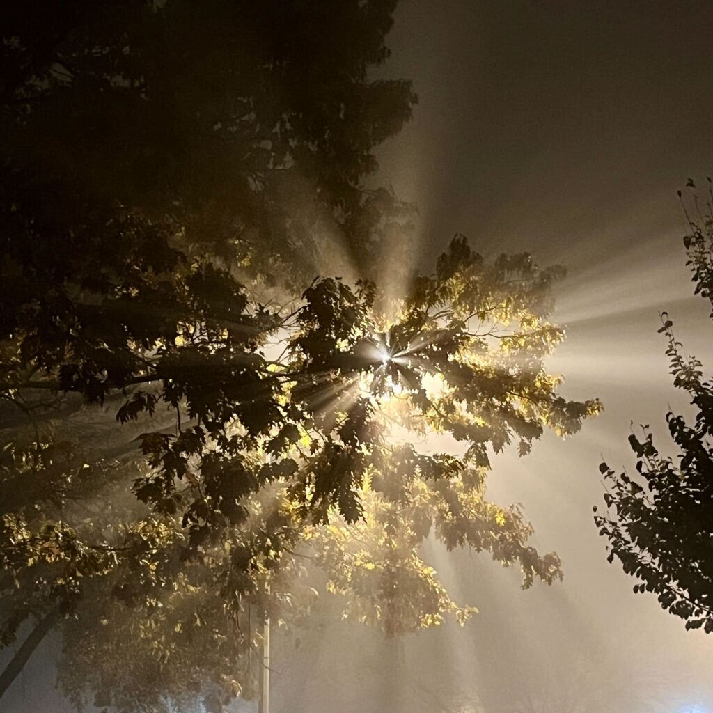 light and fog