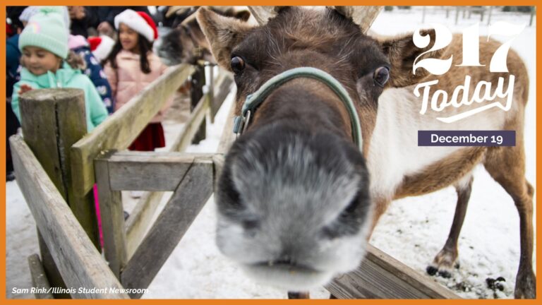 217 Today: More than a holiday tradition, reindeer are a way of life at the Hardy ranch in Rantoul