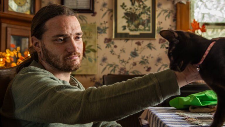 A person sits at a dining room table, reaching to pet a dark brown cat standing on the table.