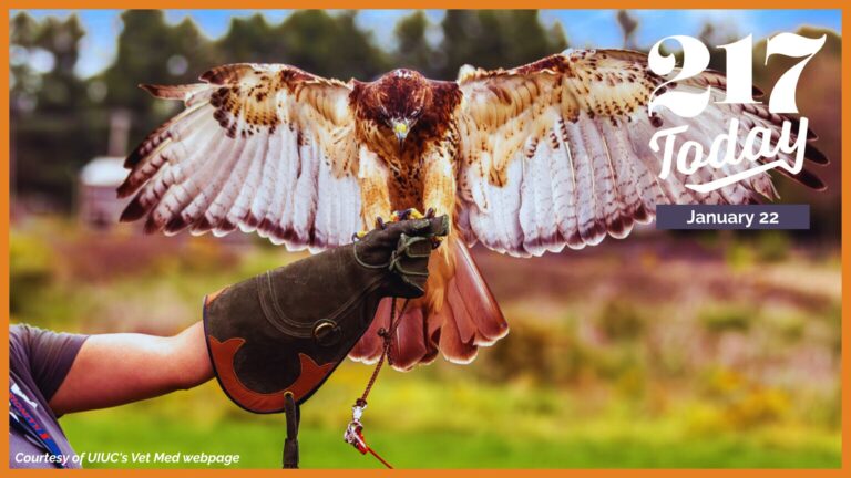 217 Today: What’s Happening in Central Illinois Jan. 22 – Jan. 25