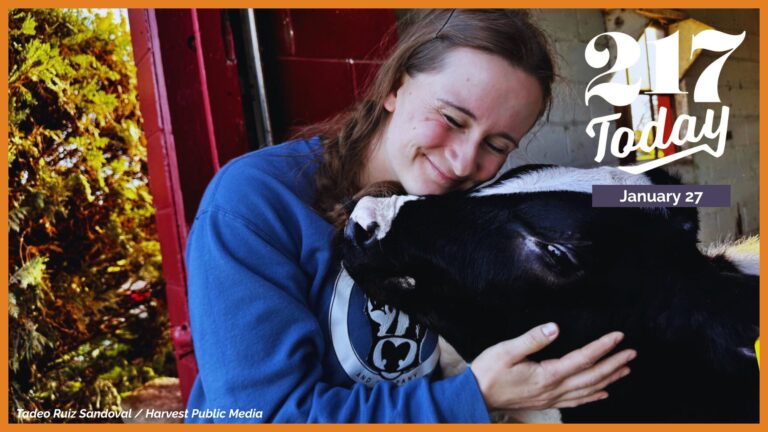 217 Today: Cow cuddles and farm-churned ice cream are helping Midwest dairies thrive despite low milk prices