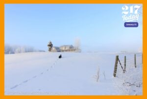 A dog runs through the snow toward a house against a blue sky.
