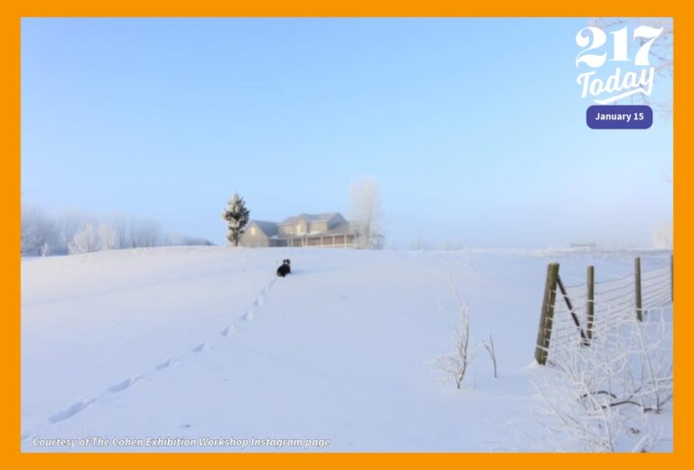 A dog runs through the snow toward a house against a blue sky.