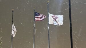 flags in snow