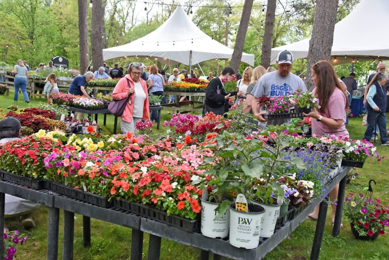 Multiple people look at potted plants outdoors.