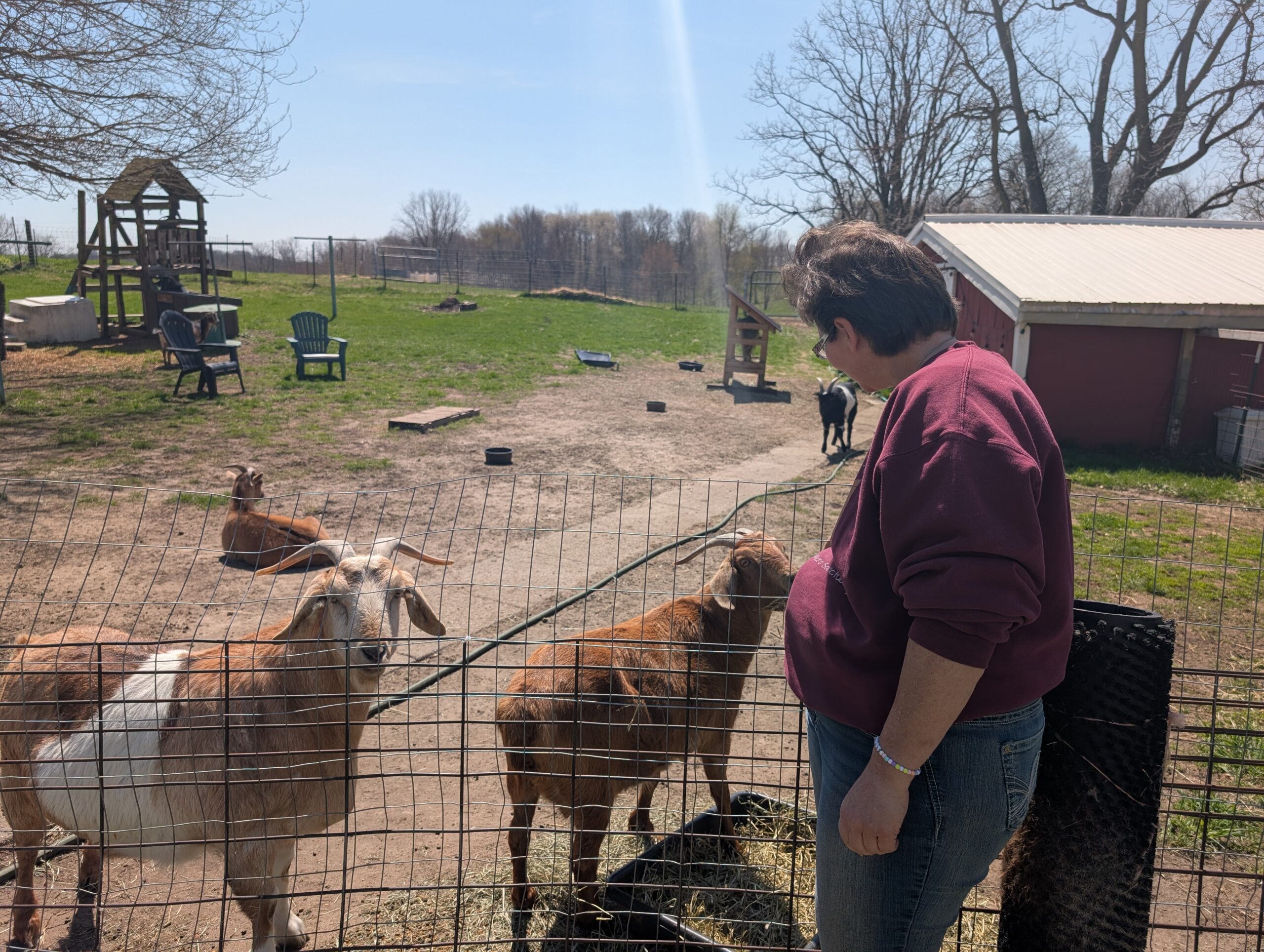Jessica Wallace greets the goats through their pen at The Farm Micro Sanctuary.