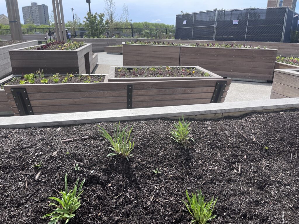 garden boxes
