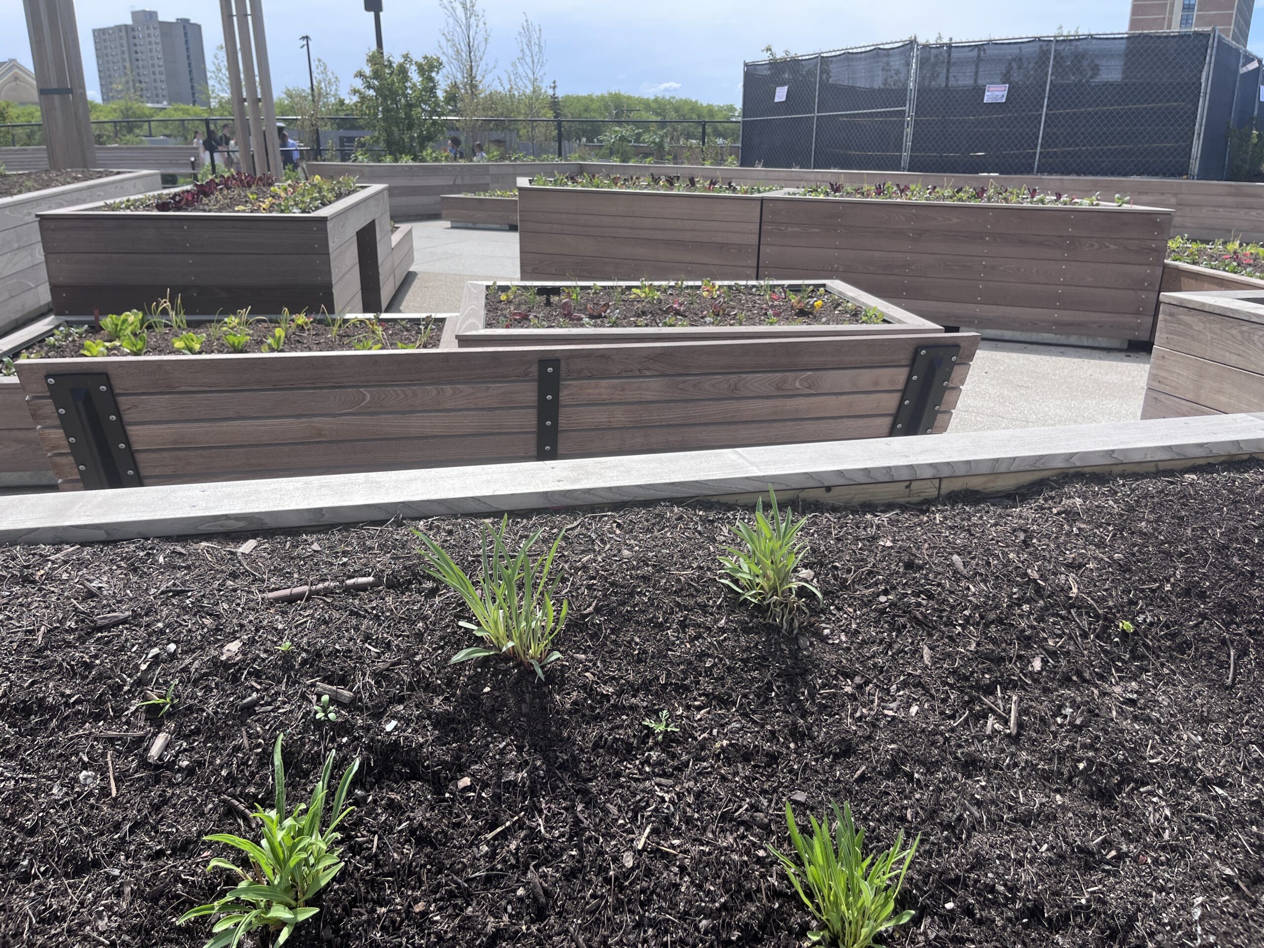 garden boxes