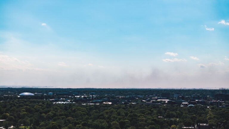 cloud of dust