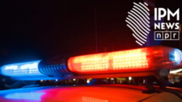 police car lights