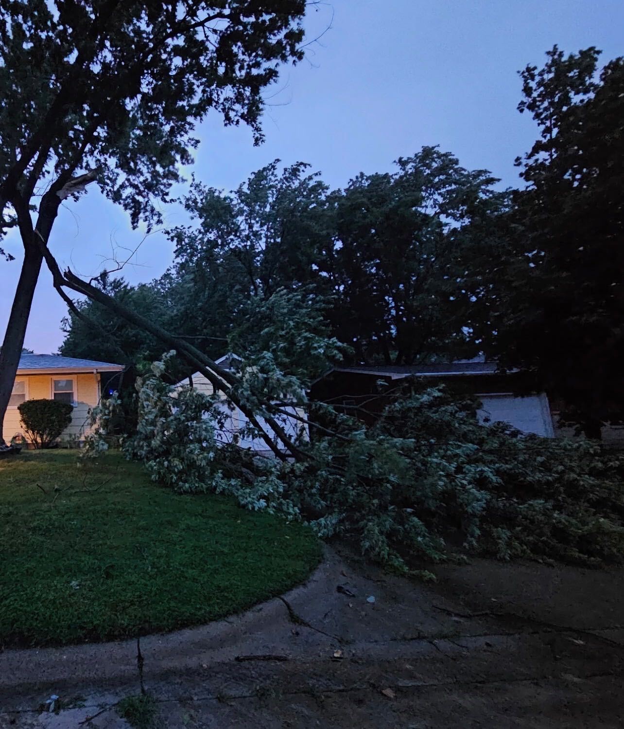 Severe storms cause major damage to homes, schools and trees in central ...