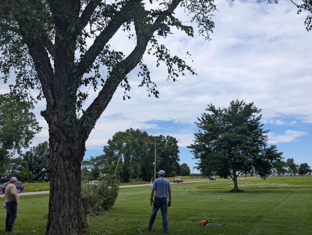 A man looks on as a drone pulls up a bundle of branches attached to a rope.