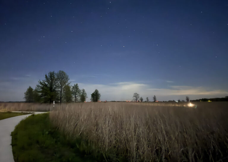 Not long after sunset, visitors will find thousands of stars popping out of the heavens in the Galaxy Loop of the Dark Forest Trail in the Middle Park Forest Preserve.