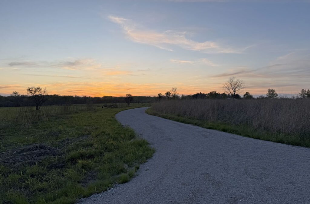 A winding road at sunset into a field of tall grasses will soon be greeted with the light of thousands of stars.