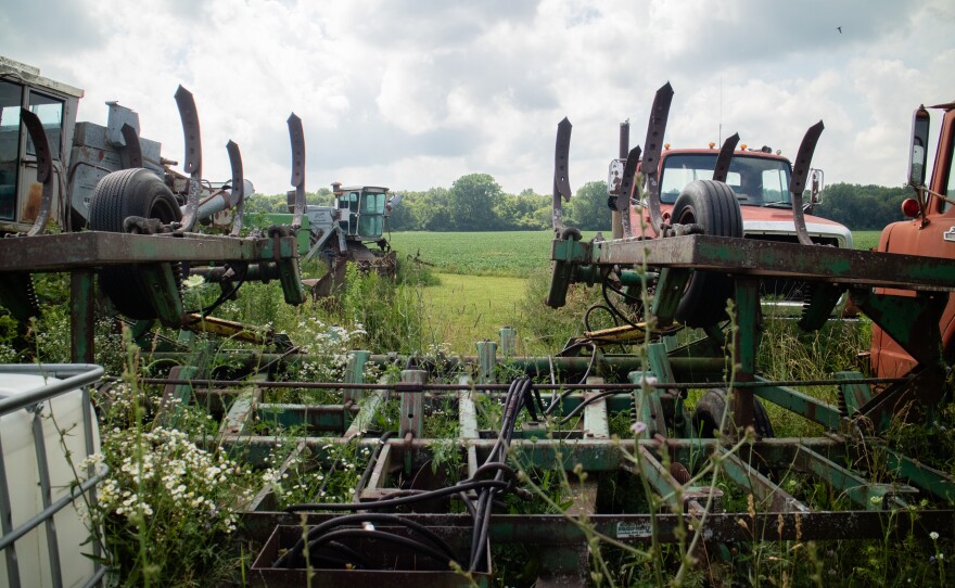 A closeup of old farm equipment. Grass, weeds and little white flowers grow up through it.