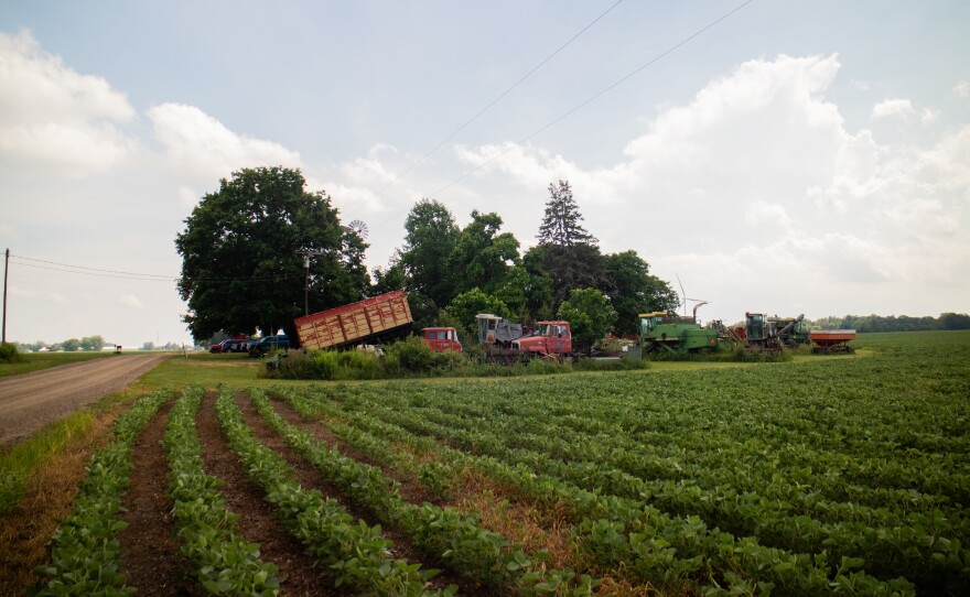 Behind rows of crops is hold farm equipment - two red trucks, a green tractor, among others. They sit in front of a group of trees. A dirt road runs to the left.