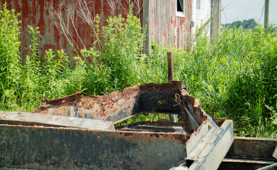 A piece of rusting farm equipment sits in a bed of weeds behind a red building with peeling paint.